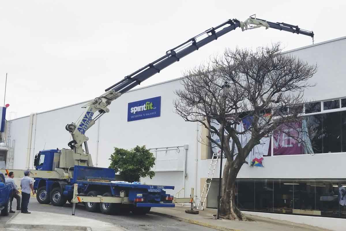 renta-barata-de-gruas-industriales-en-gdl-gruas-anaya